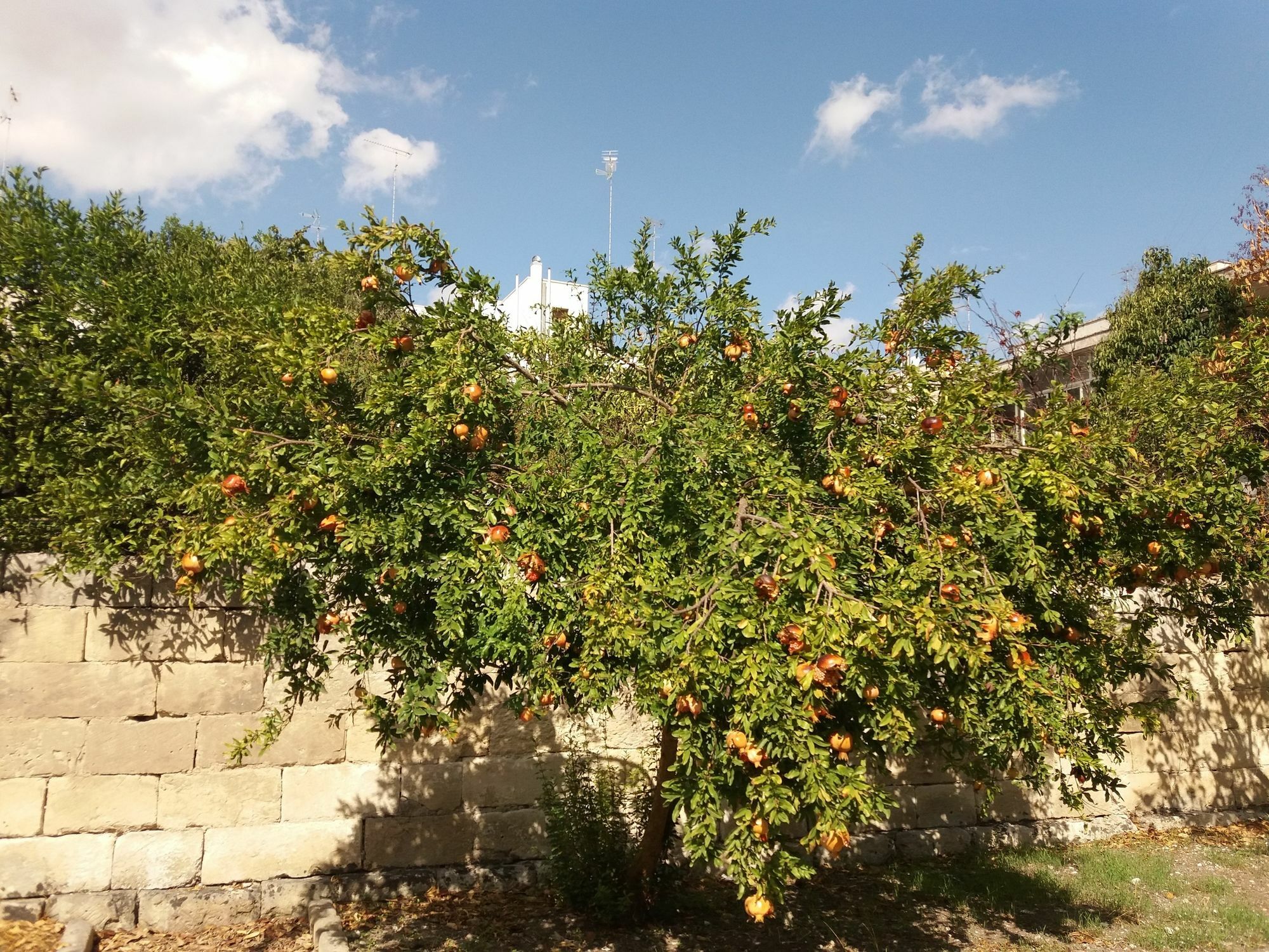 Il Giardino Delle Margherite Лече Екстериор снимка