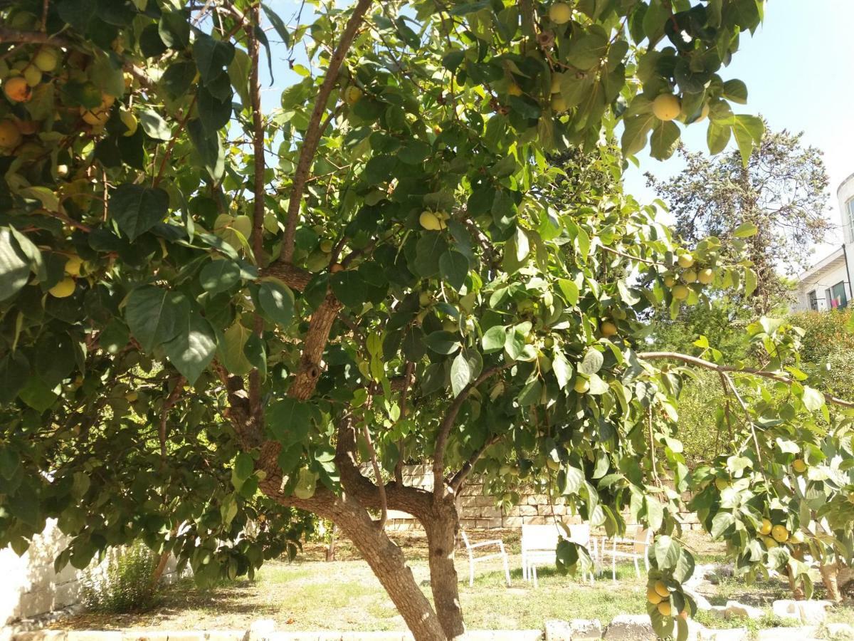 Il Giardino Delle Margherite Лече Екстериор снимка