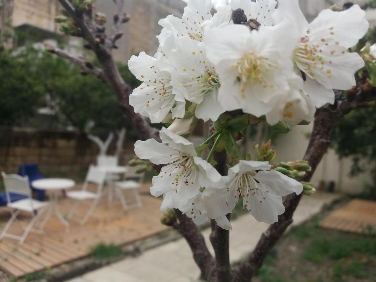 Il Giardino Delle Margherite Лече Екстериор снимка